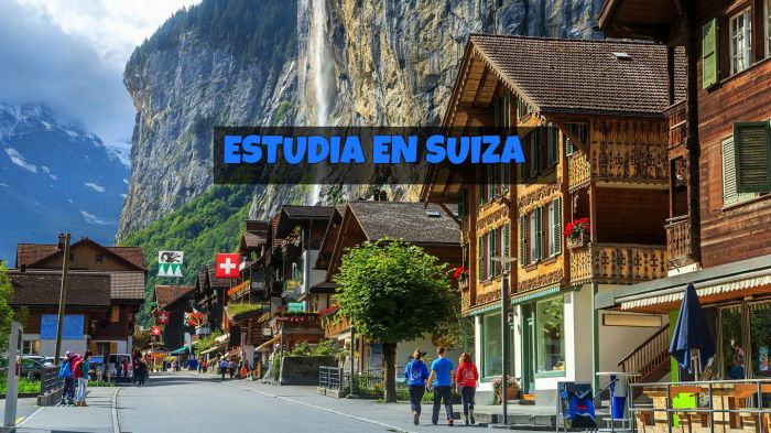 Suiza: Beca Maestría Diversas Áreas Escuela Politécnica Federal de Lausana