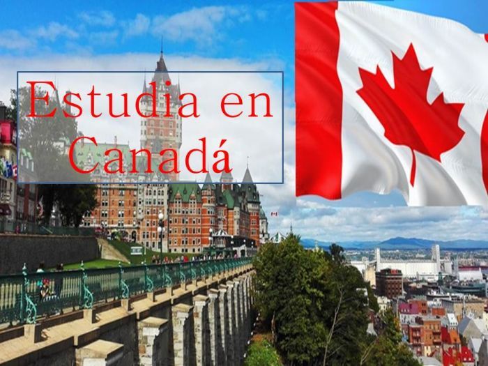 Canadá: Beca Pregrado en Diversas Áreas Trent University