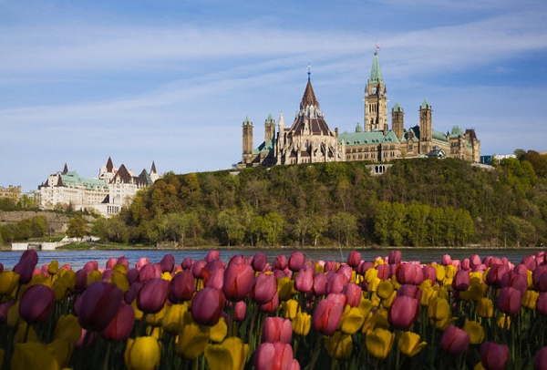 Canadá: Becas de Postgrado en Ciencias Sociales University of Ottawa 