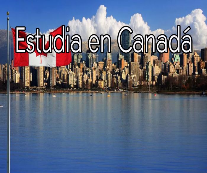 Canadá: Beca Pregrado en Diversas Áreas Universidad de St. Thomas