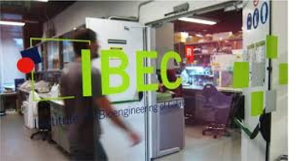 España: Beca Postdoctorado Diversas Áreas IBEC