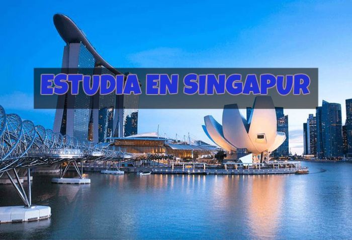 Singapur: Beca Pregrado Ciencias Ingeniería Universidad Técnica de Nanyang