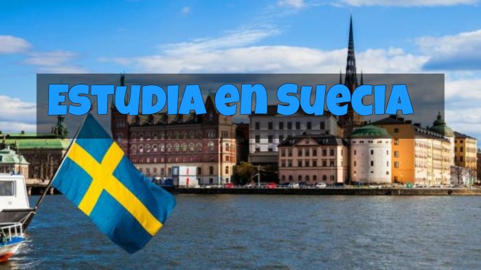 Suecia: Beca Pregrado Ingeniería de Computación Universidad de Gotemburgo