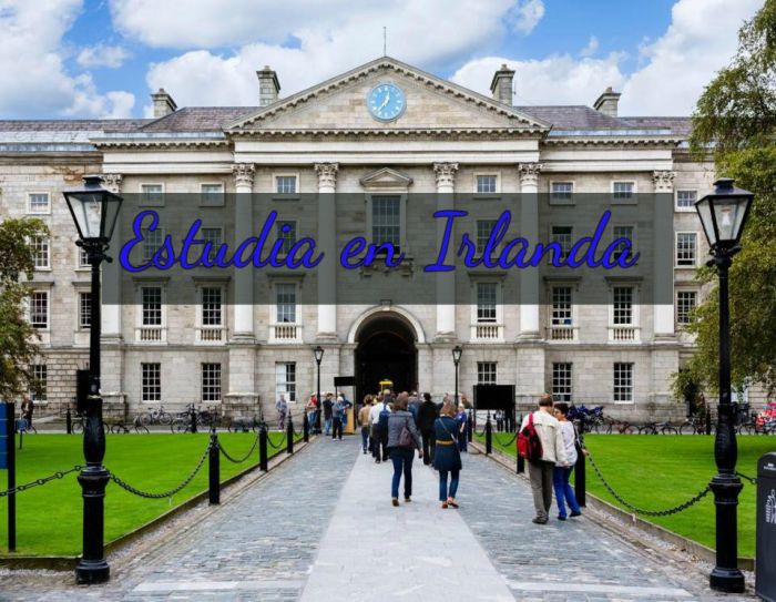 Irlanda: Beca Doctorado Informática University College Cork