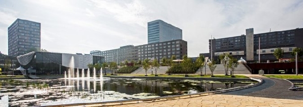 Holanda: Becas para Pregrado en Administración y Negocios Rotterdam School of Management
