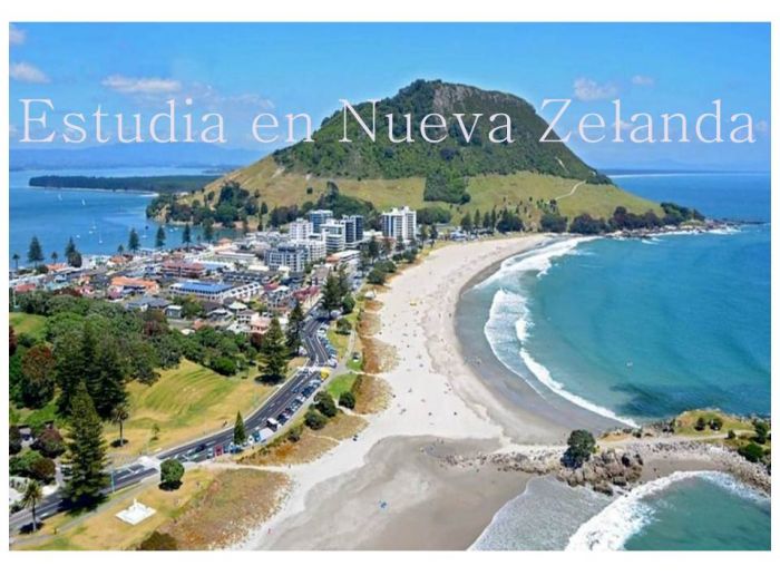 Nueva Zelanda: Beca Doctorado en Diversas Áreas  Universidad de Otago