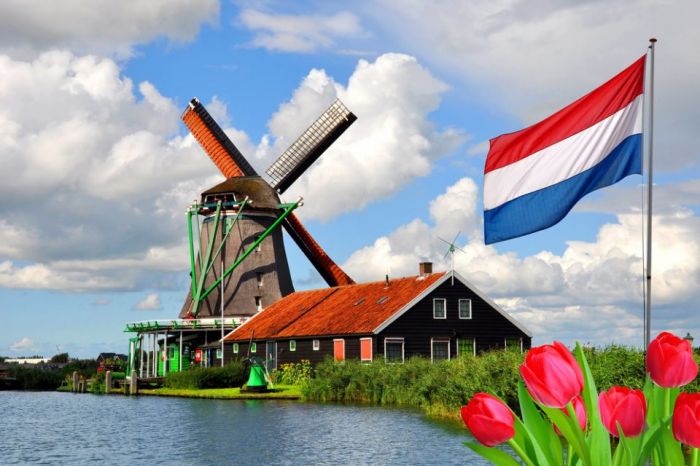 Holanda: Beca Pregrado y Maestría en Diversas Áreas Ministerio de Educación Cultura y Ciencia Holandés