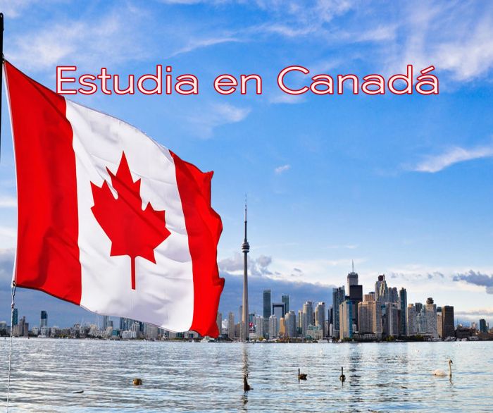 Canadá: Beca Pregrado y Maestría en Diversas Áreas  Universidad Wilfrid Laurier
