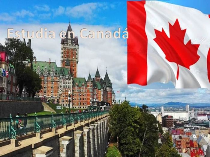 Canadá: Beca Pregrado en Diversas Áreas  Universidad de Saint Mary