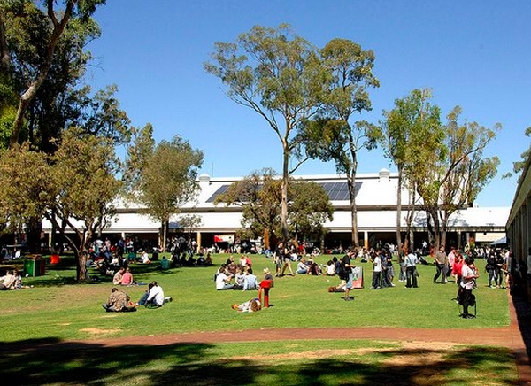 Australia: Becas para Pregrado en Varios Temas Murdoch University