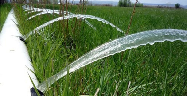 Online: Becas para Maestría en Agua, Energía y Medio Ambiente OEA/EADIC 