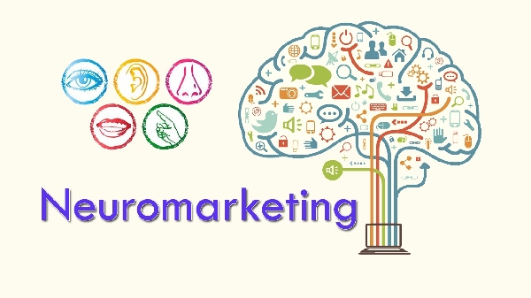 Online: Becas para Maestría en Neuromarketing OEA/UNIR