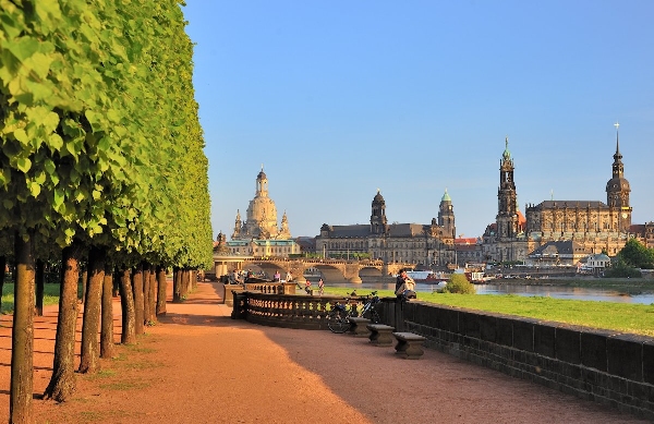 Alemania: Becas para Postgrado en Medicina y Veterinaria Fundación Bayer 