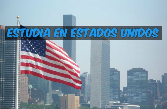 Estados Unidos: Beca Pregrado Diversas Áreas OEA/Stillman College