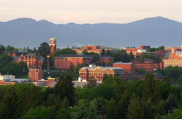Estados Unidos: Becas para Pregrado en Varios Temas Washington State University