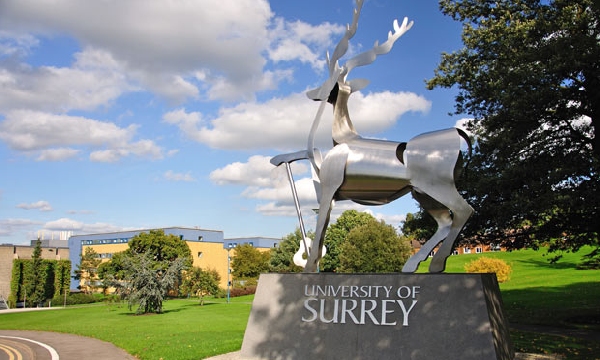Reino Unido: Becas para Doctorado en Economía University of Surrey 