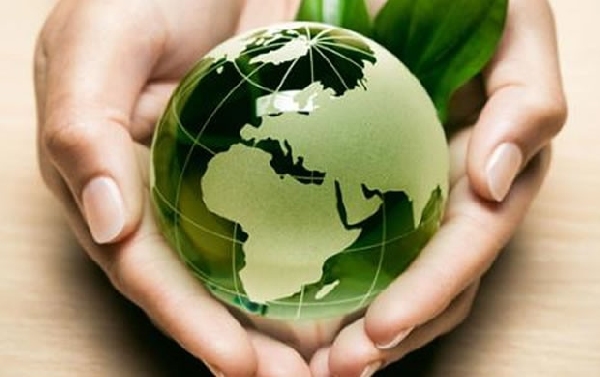 Online: Becas para Maestría en Medio Ambiente, Salud y Seguridad RIT/OEA