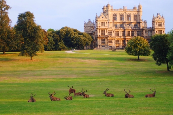 Reino Unido: Becas para Maestría en Varios Temas University of Nottingham