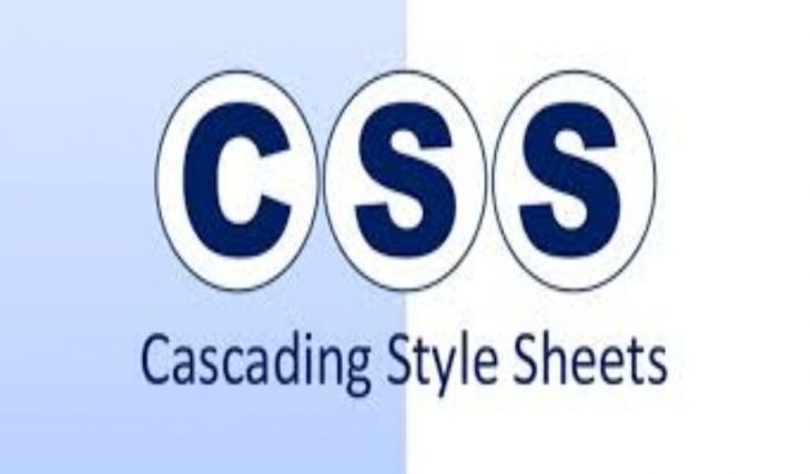 Diseño Web con Estilos CSS
